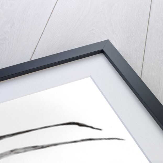 Monty plant, 2015 by Vincent Alexander Booth