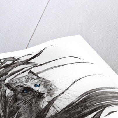 Monty plant, 2015 by Vincent Alexander Booth