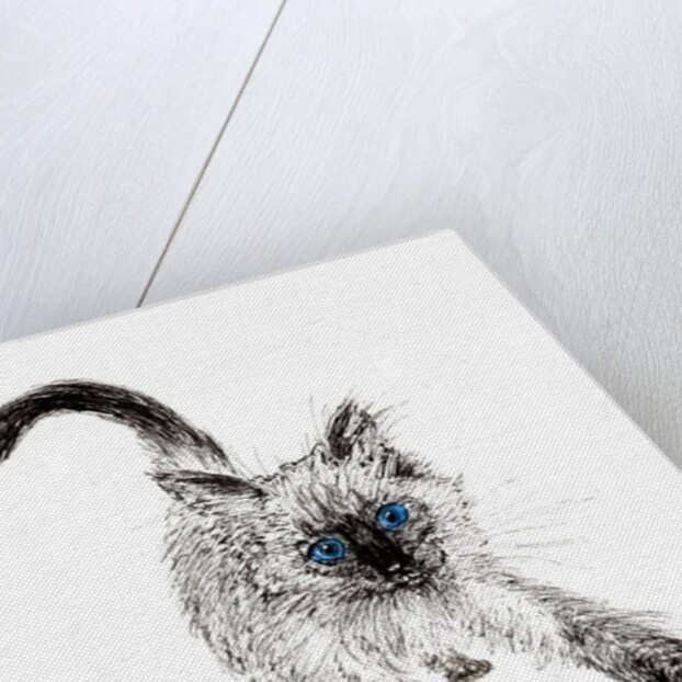 On the prowl !, 2015 by Vincent Alexander Booth