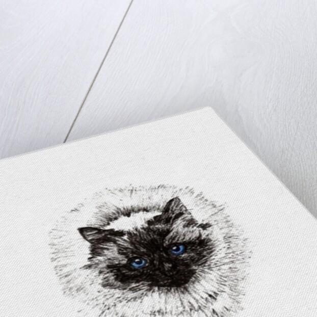 Baby ball, 2015 by Vincent Alexander Booth