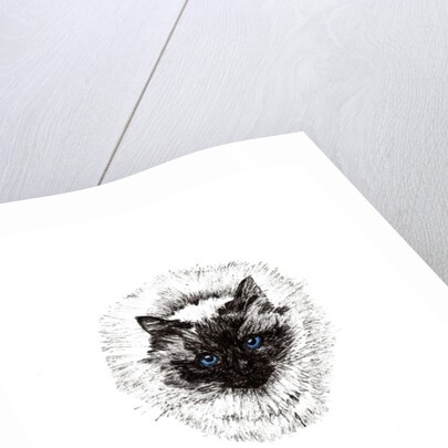 Baby ball, 2015 by Vincent Alexander Booth