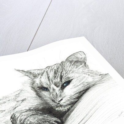 Monty napping, 2016 by Vincent Alexander Booth