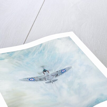 Spitfire 'Ace of Spades', 2016 by Vincent Alexander Booth