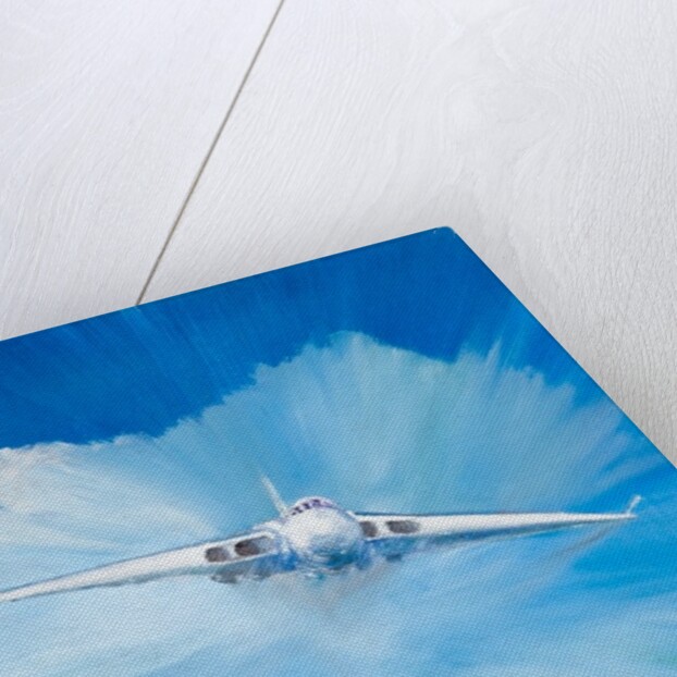 White Vulcan, 2016 by Vincent Alexander Booth