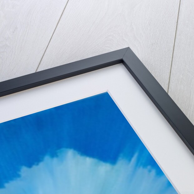 White Vulcan, 2016 by Vincent Alexander Booth