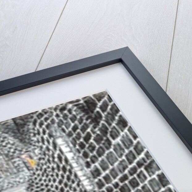 The Castle in the Forest of Findhorn, curved corridor, 2006 by Vincent Alexander Booth