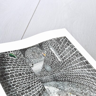 The Castle in the Forest of Findhorn, curved corridor, 2006 by Vincent Alexander Booth