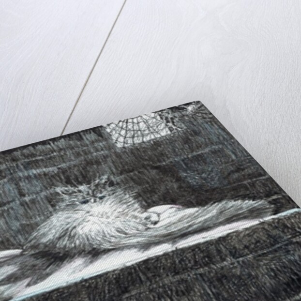 The Castle in the Forest of Findhorn, Monty window, 2006 by Vincent Alexander Booth