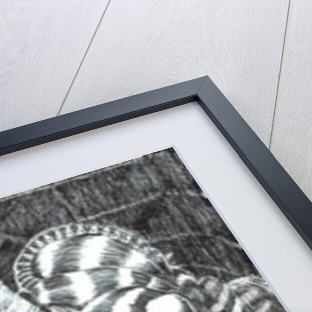 The Castle in the Forest of Findhorn, observer, 2006 by Vincent Alexander Booth