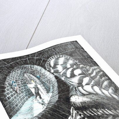 The Castle in the Forest of Findhorn, observer, 2006 by Vincent Alexander Booth