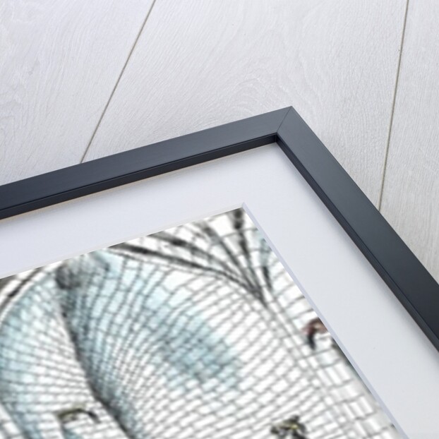 The Castle in the Forest of Findhorn, mirror floor, 2006 by Vincent Alexander Booth