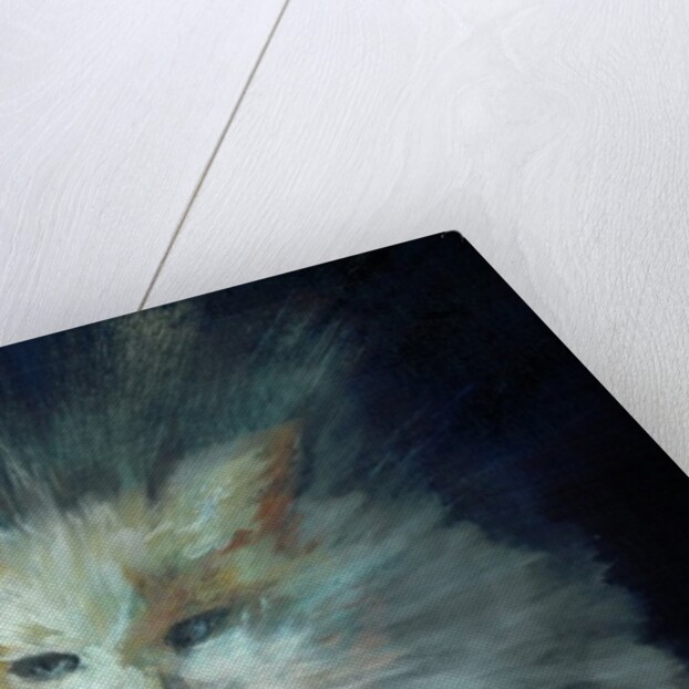 Monty fluffball, 2015 by Vincent Alexander Booth