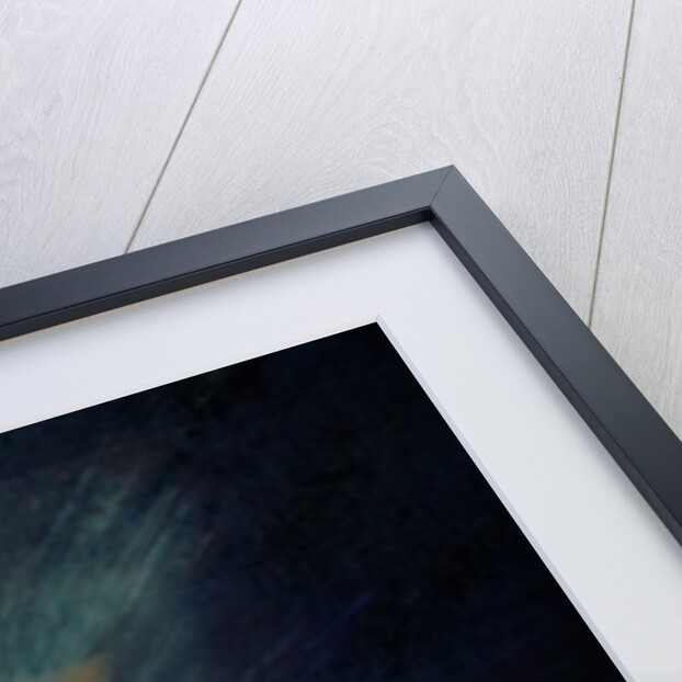 Monty fluffball, 2015 by Vincent Alexander Booth