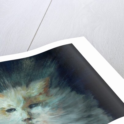 Monty fluffball, 2015 by Vincent Alexander Booth