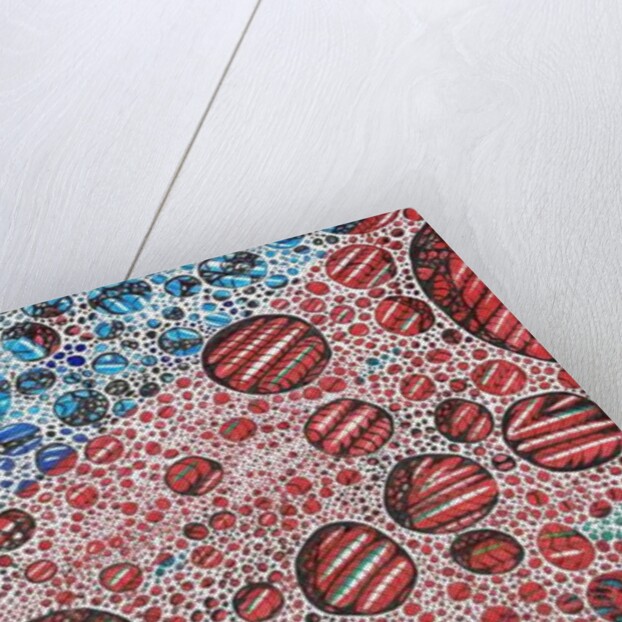 Casidlofaliton, 2016 by Vincent Alexander Booth