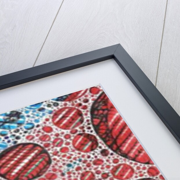 Casidlofaliton, 2016 by Vincent Alexander Booth