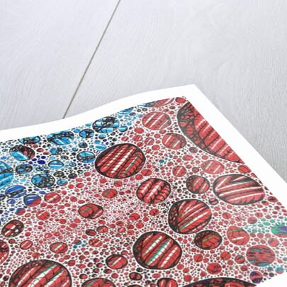 Casidlofaliton, 2016 by Vincent Alexander Booth