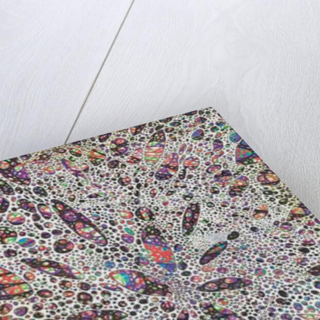 Stars give birth to Colour, 2016 by Vincent Alexander Booth