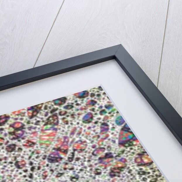 Stars give birth to Colour, 2016 by Vincent Alexander Booth