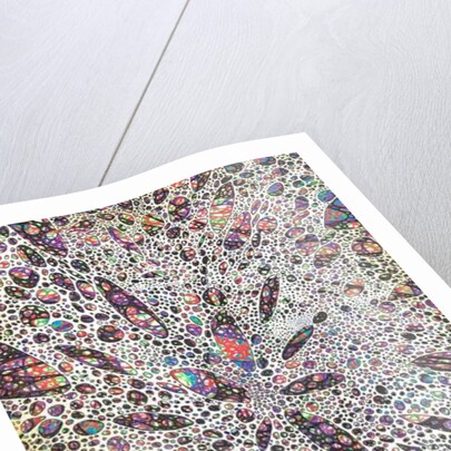 Stars give birth to Colour, 2016 by Vincent Alexander Booth