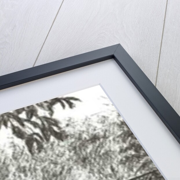 Cam Locks, 2005 by Vincent Alexander Booth