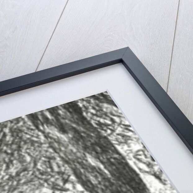 Statue in Jardin Luxemburg Paris, 2003 by Vincent Alexander Booth