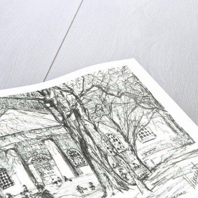 Harvard Boston USA, 2003 by Vincent Alexander Booth