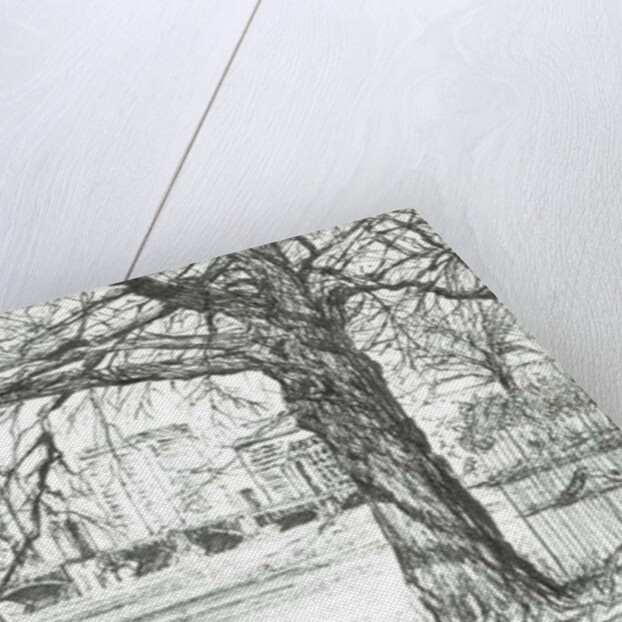 The Charles river, Boston, 2003 by Vincent Alexander Booth