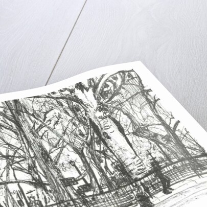 Madison square park New York, 2003 by Vincent Alexander Booth