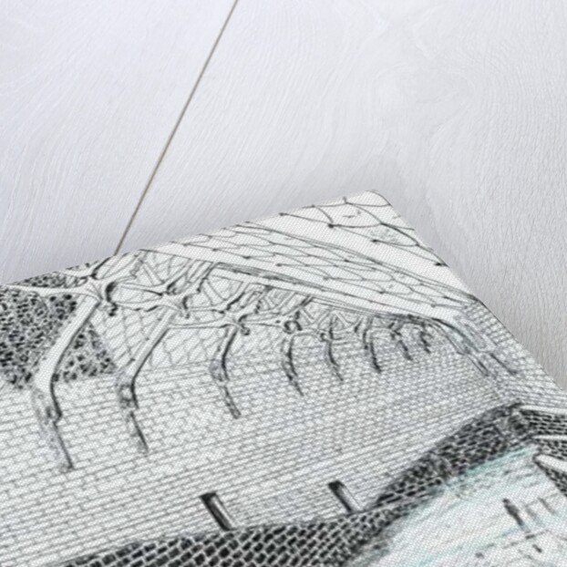 The Castle in the Forest of Findhorn, curved corridor, 2006 by Vincent Alexander Booth