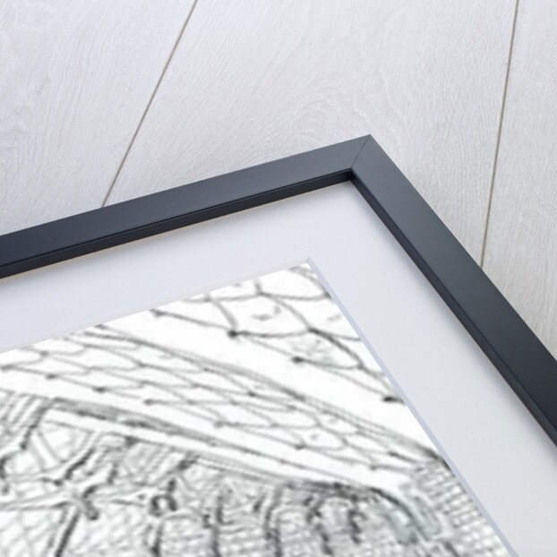 The Castle in the Forest of Findhorn, curved corridor, 2006 by Vincent Alexander Booth