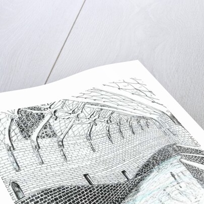 The Castle in the Forest of Findhorn, curved corridor, 2006 by Vincent Alexander Booth