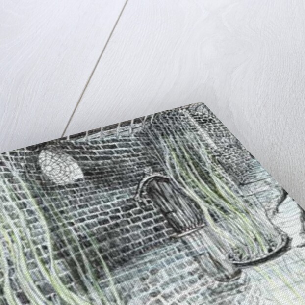 The Castle in the Forest of Findhorn, vents, 2006, by Vincent Alexander Booth