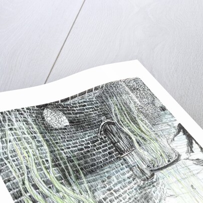 The Castle in the Forest of Findhorn, vents, 2006, by Vincent Alexander Booth