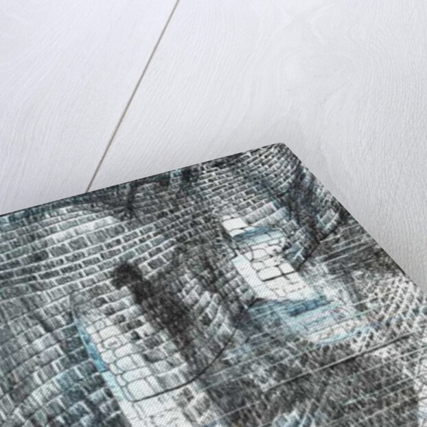 The Castle in the Forest of Findhorn, shadow, 2006, by Vincent Alexander Booth