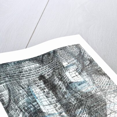 The Castle in the Forest of Findhorn, shadow, 2006, by Vincent Alexander Booth