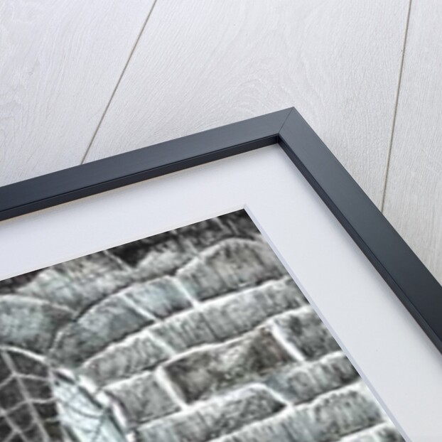 The Castle in the Forest of Findhorn, web window, 2006 by Vincent Alexander Booth