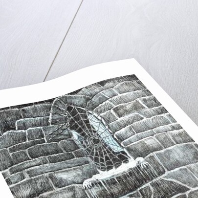 The Castle in the Forest of Findhorn, web window, 2006 by Vincent Alexander Booth