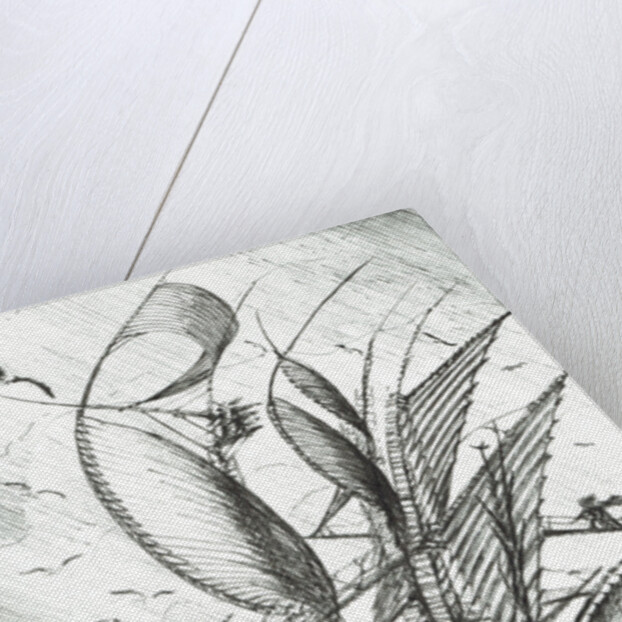 Storm Creators Pacific Ocean, 2017 by Vincent Alexander Booth