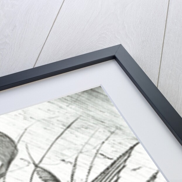 Storm Creators Pacific Ocean, 2017 by Vincent Alexander Booth