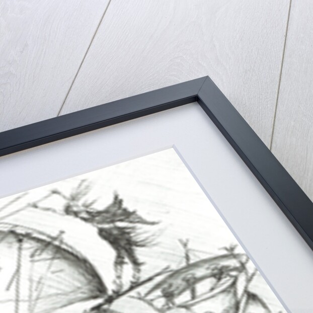 Storm Creators Indian Ocean, 2017 by Vincent Alexander Booth