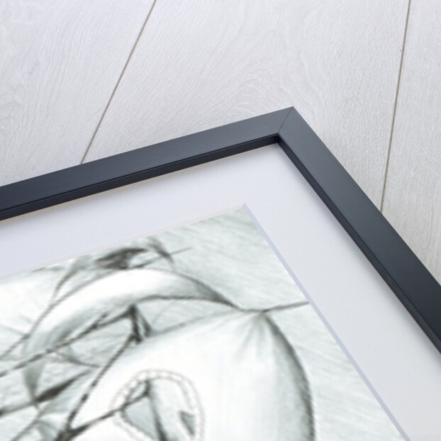 Storm Creators Caspian Sea, 2017 by Vincent Alexander Booth