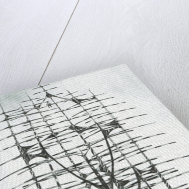 Storm creators Sea of Japan, 2017 by Vincent Alexander Booth