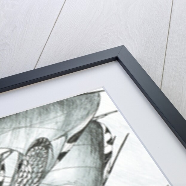 Storm Creators Tasman Sea, 2017 by Vincent Alexander Booth