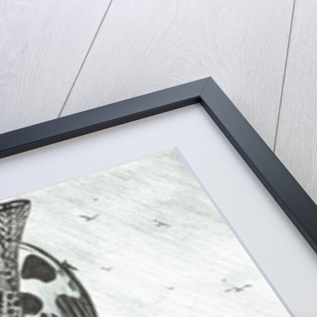 Storm Creators Somov Sea, 2017 by Vincent Alexander Booth