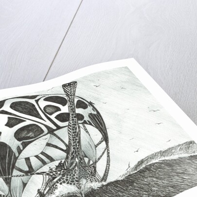 Storm Creators Somov Sea, 2017 by Vincent Alexander Booth