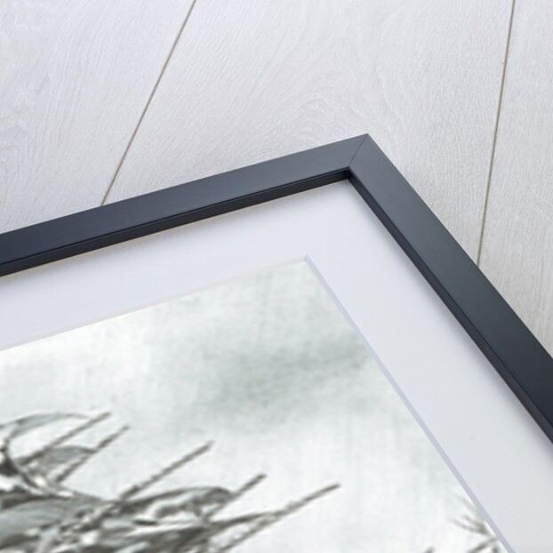 Storm Creators North Sea, 2017 by Vincent Alexander Booth