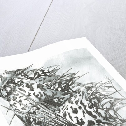 Storm Creators North Sea, 2017 by Vincent Alexander Booth