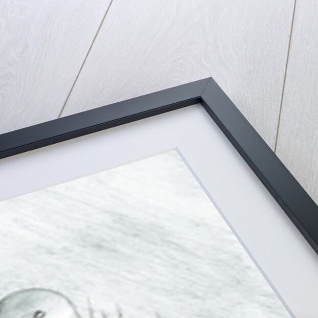 Storm Creators East China Sea, 2017 by Vincent Alexander Booth