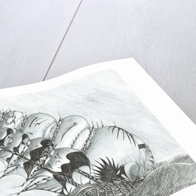 Storm Creators East China Sea, 2017 by Vincent Alexander Booth